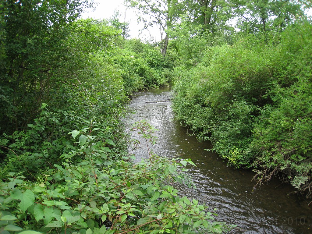 Matthaei Botanical Gardens 2010 0465.jpg - Matthaei Botanical Gardens in Ann Arbor Michigan has several miles of trails that can be enjoyed year round.